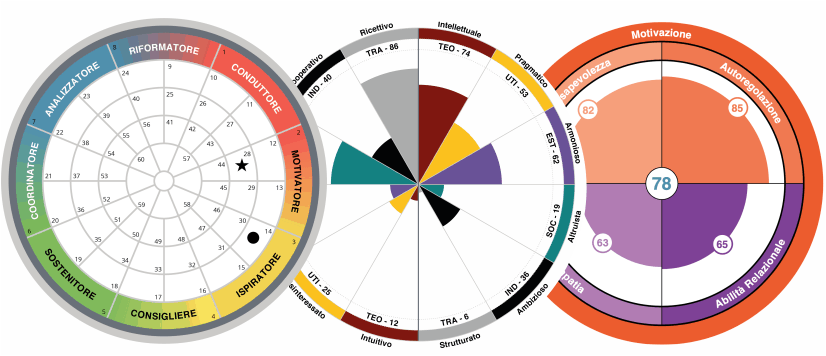 TTI Success Insights cerchi